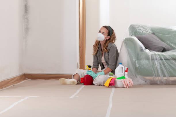 Reliable Mold Cleanup contractor in Gwynedd Valley, PA by WQB Mold Removal